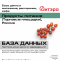 База данных Продукты питания (Торговые площадки) , Россия