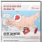 База данных Ярославская область