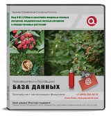 Код A 02.3 Сбор и заготовка пищевых лесных ресурсов, недревесных лесных ресурсов и лекарственных растений