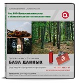 Код A 02.4 Предоставление услуг в области лесоводства и лесозаготовок