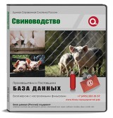 Электронные адреса. Строительство